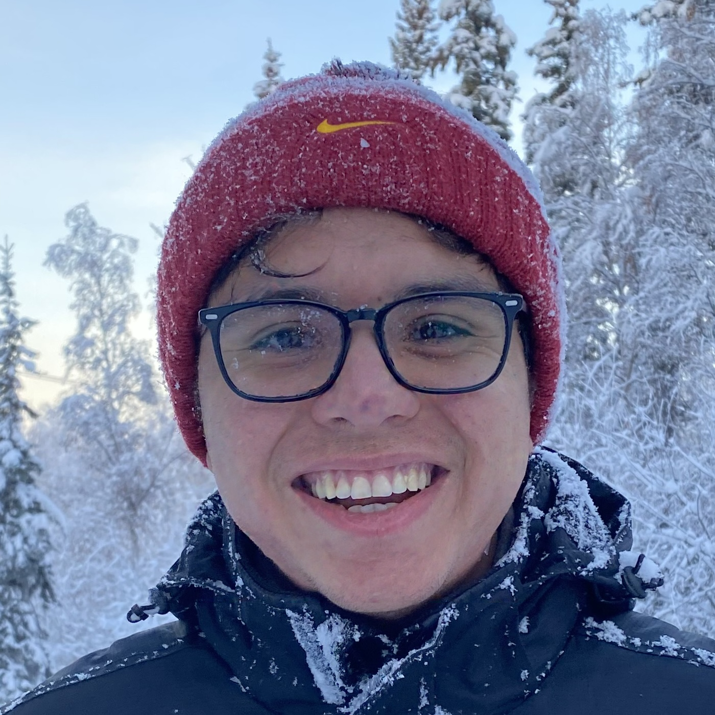 AI-poisoned portrait of mice-elf.